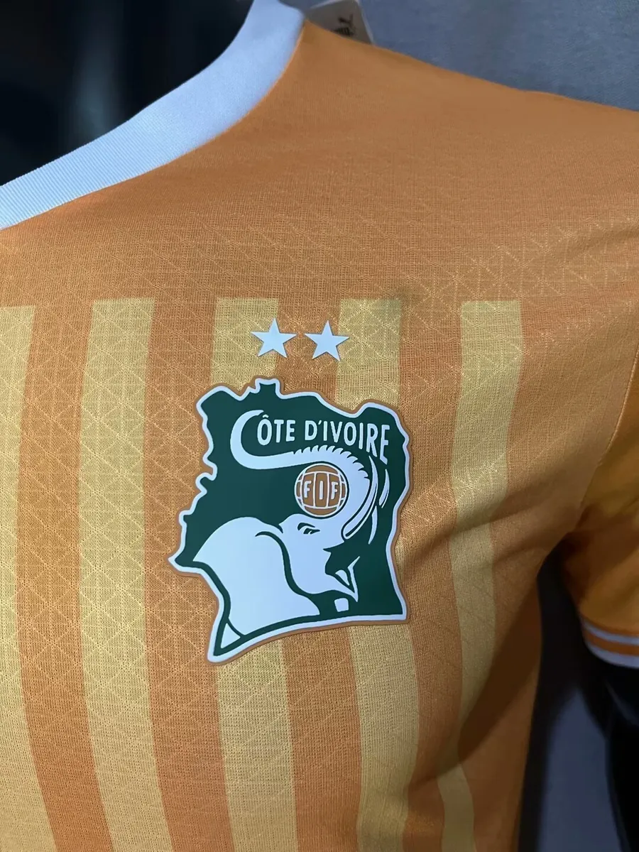 2023 Ivory Coast Home Kit Player Edition Shirts Football AAAAJersey Yupoo 6