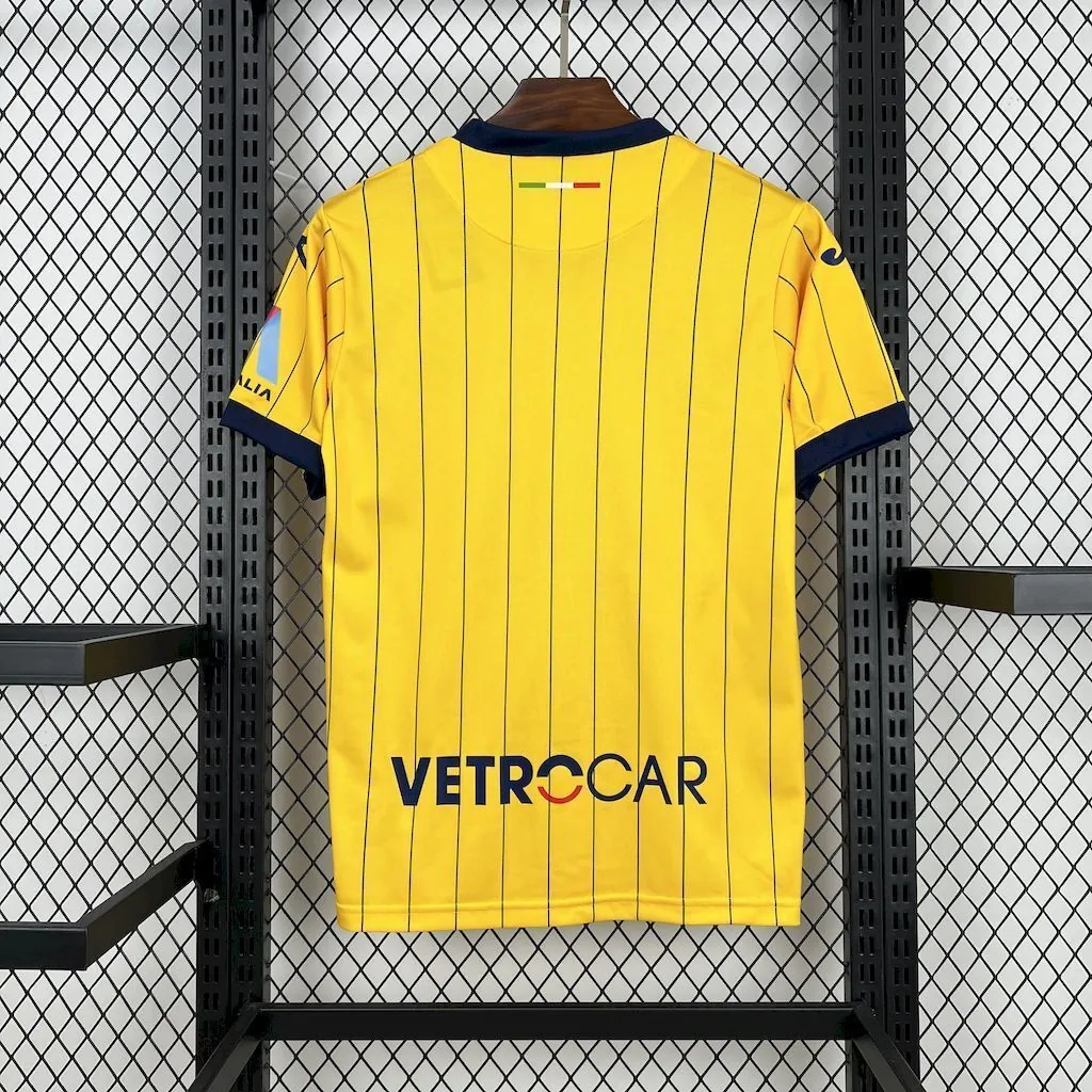 25-26 Hellas Verona 120th Anniversary Edition Football T-Shirt AAAAJersey Supply Yupoo 5