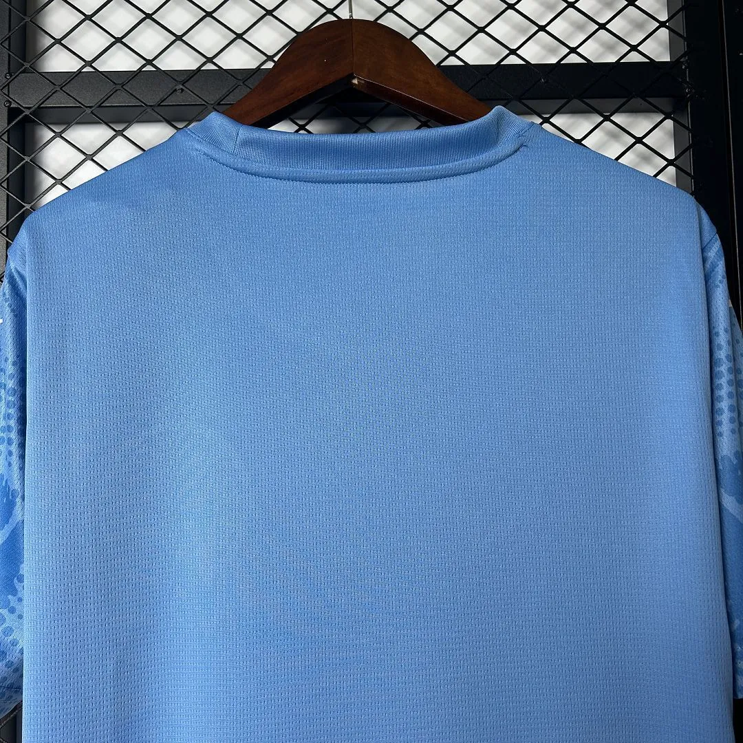 25-26 Palmeiras Goalkeeper Blue Kit Soccer T-Shirt AAAAJersey Wholesale Yupoo 2