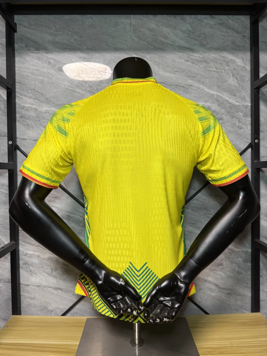2026 Mali Special Edition KIt Player Version Soccer T-Shirt AAAAJersey Supply Yupoo 3