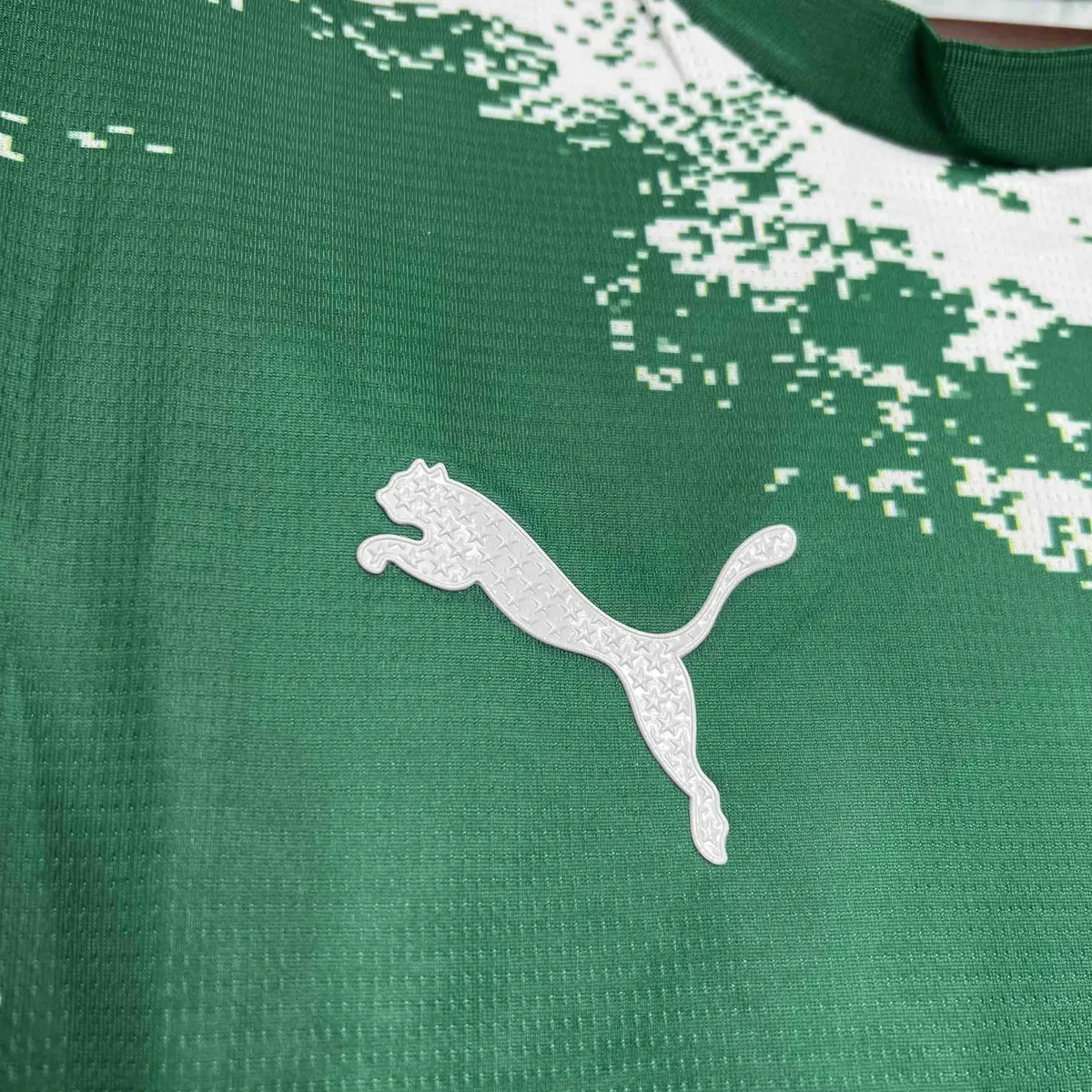 24-25 Palmeiras For a Greener Future Special Edition Kit AAAAJersey Supplier Yupoo 4