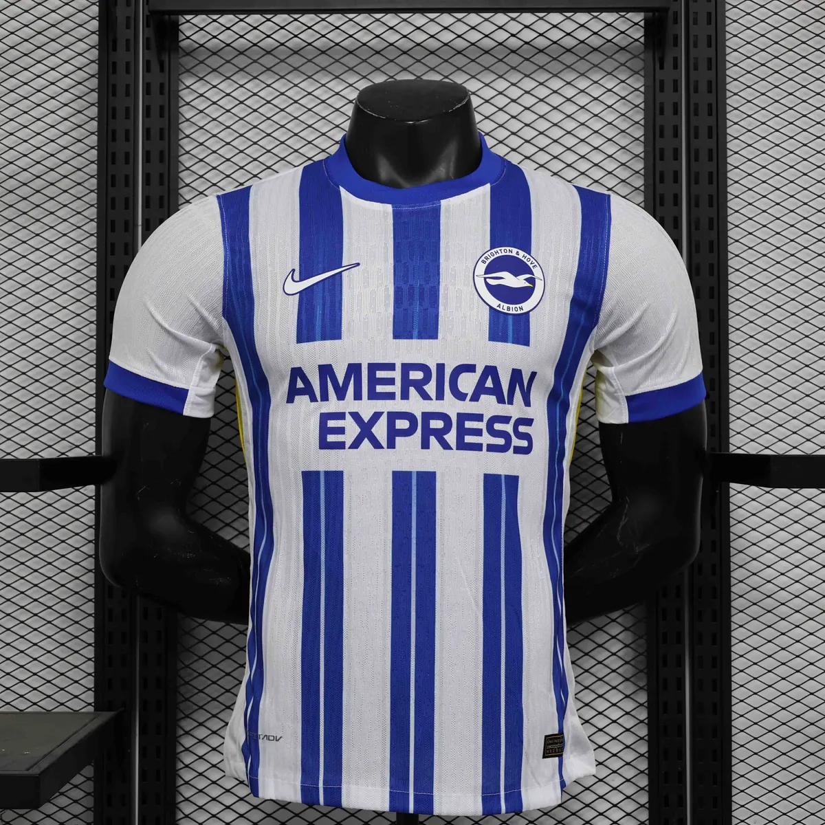 24-25 Brighton Home Kit Player Version Shirt Sport AAAAJersey Yupoo 6