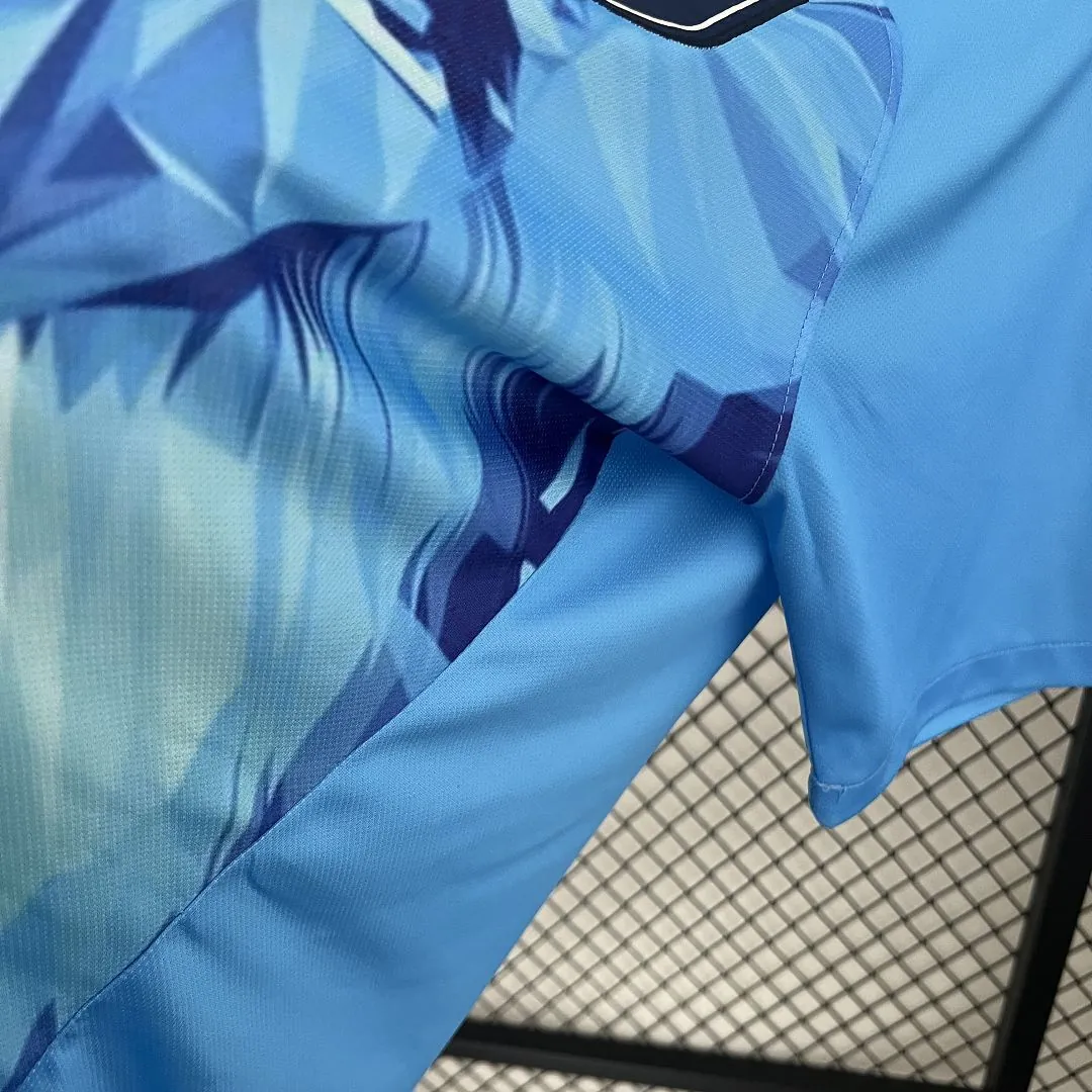 2024 Netherlands Lion Kit Special Edition Shirt Best Jerseys Yupoo 3