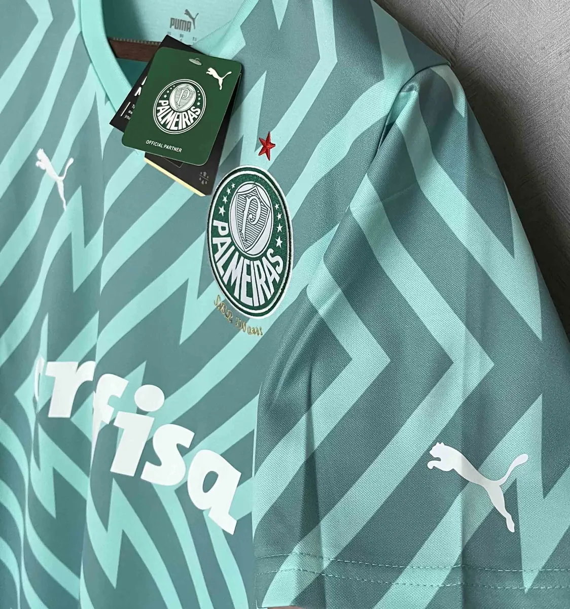 24-25 Palmeiras Goalkeeper Green Kit Jerseys Supllier Yupoo 7