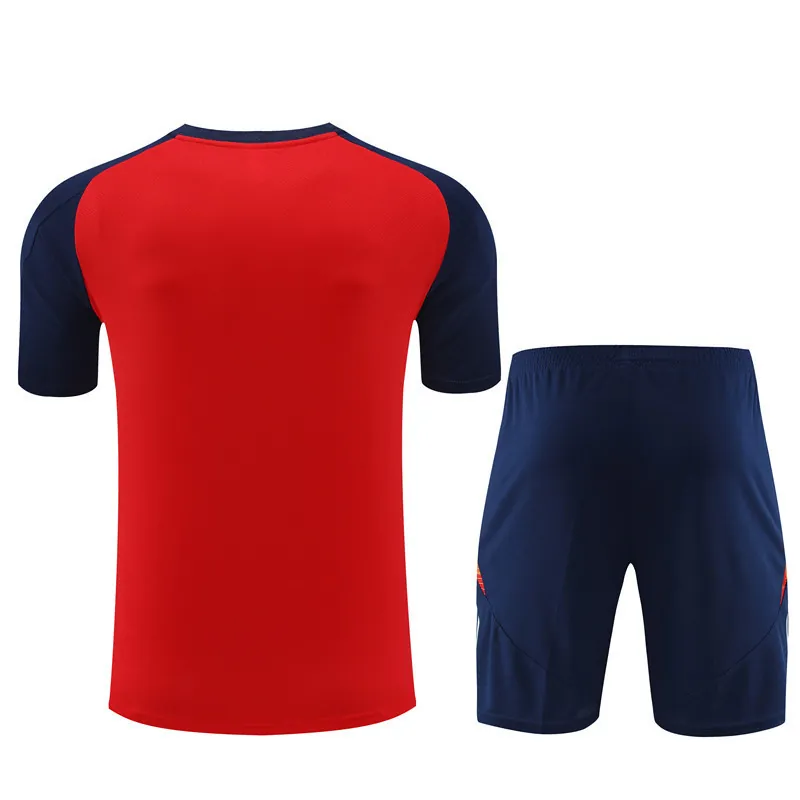 2024 Spain Training Soccer Jerseys Football Shirts 3