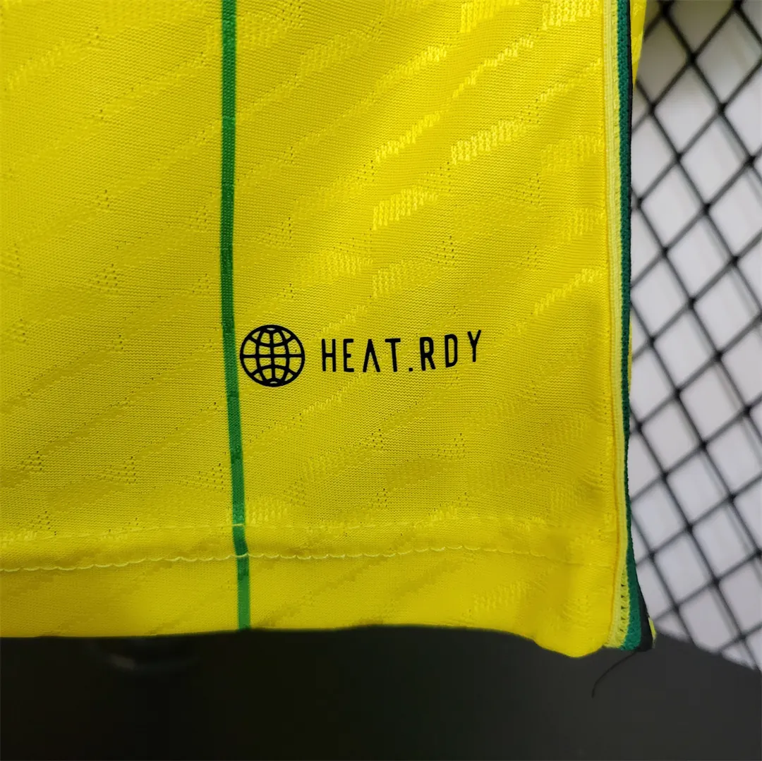 2024 Jamaica Home Kit Player Version Shirt Best Jerseys Yupoo 4