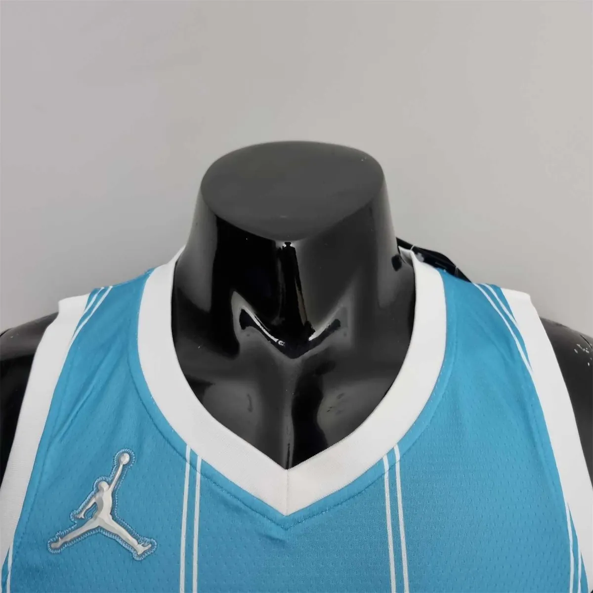 75th Anniversary Hayward #20 Charlotte Hornets Blue NBA Jersey 8