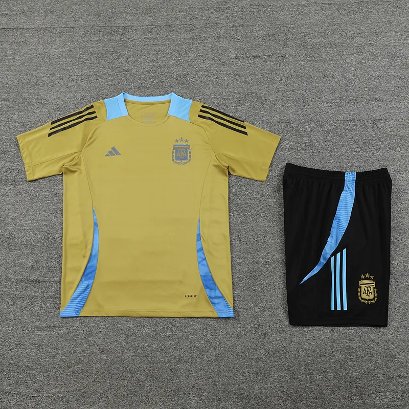 2024 Argentina Training Soccer Jerseys Football Shirts 2