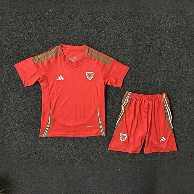 2024 Wales Home Kid Kits Children Sets Football AAAAJersey Yupoo 2