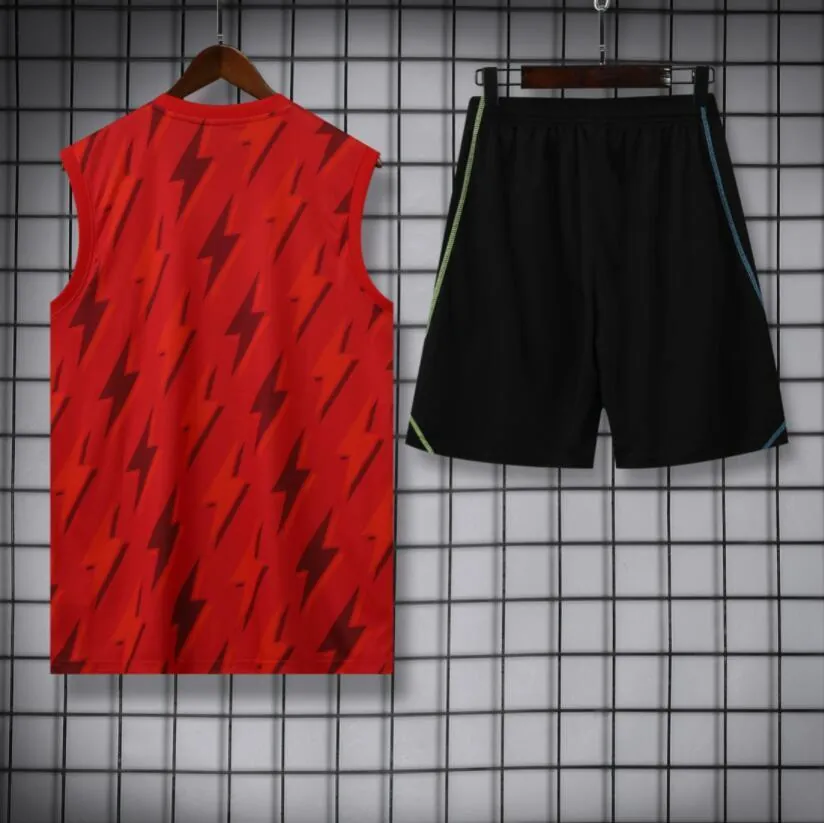 23-24 Arsenal Training Vest Kit S-XXL Soccer Jerseys 2