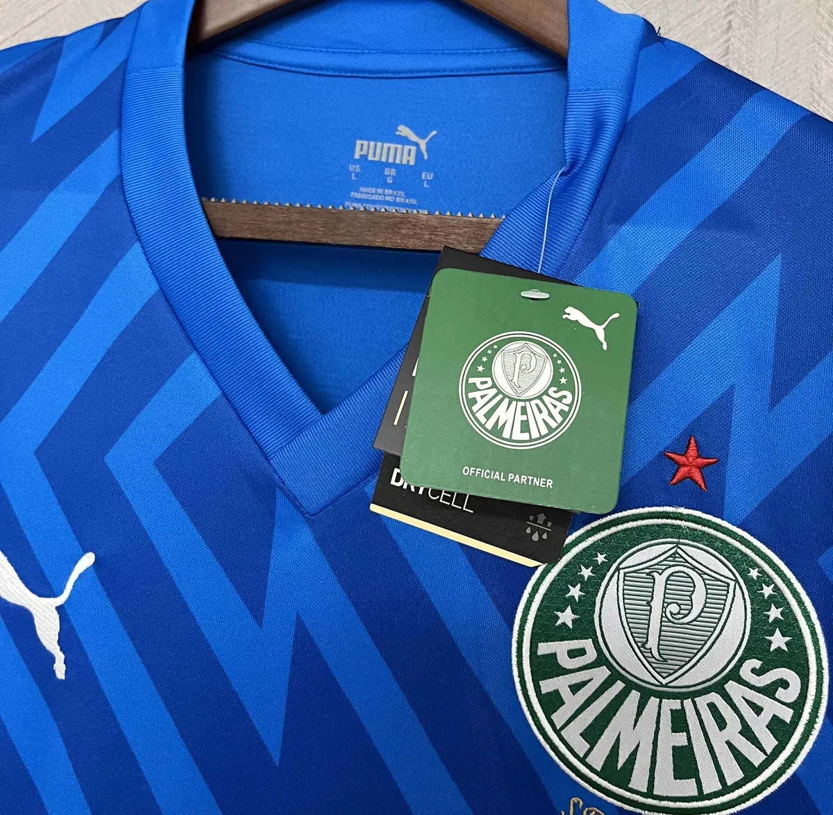 24-25 Palmeiras Goalkeeper Blue Kit Football Replicas Yupoo 5