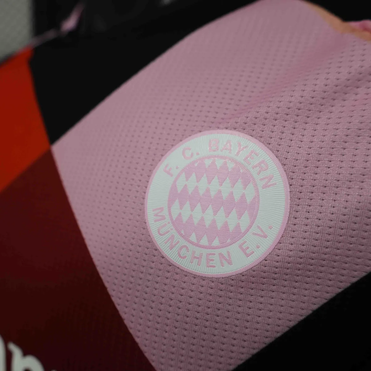 24-25 Bayern Munich X LeGer Special Edition Player Version Shirt AAAAJersey Supplier Yupoo 4