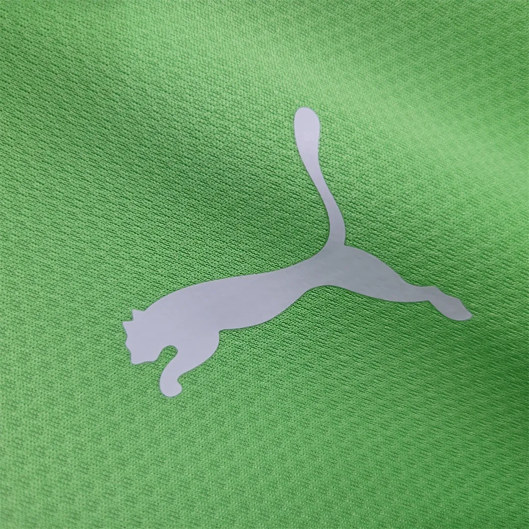 23-24 Palmeiras Training Clothes POLO 8