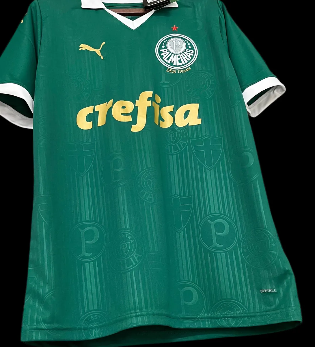 24-25 Palmeiras Home Shirt Best Jerseys Yupoo 1