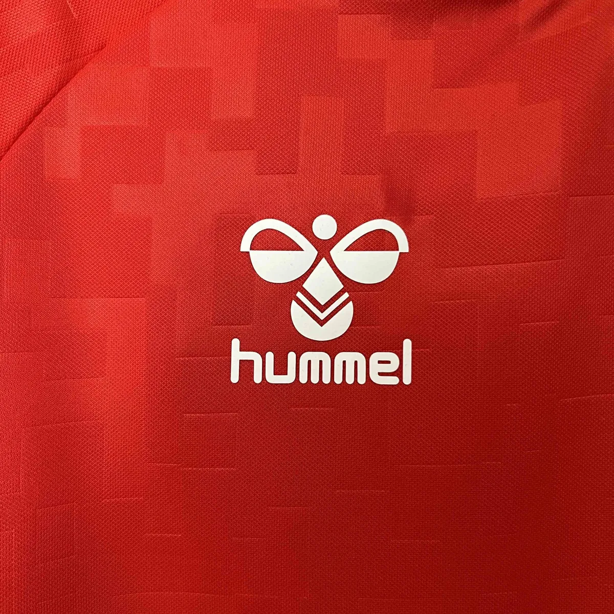 2024 Denmark Home Kit UEFA Euro Shirt Football Replicas Yupoo 4