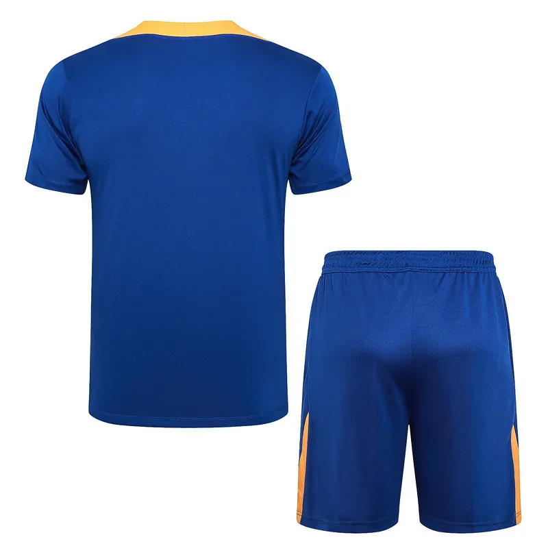 2024 Netherlands Training Soccer Jerseys Football Shirts 2