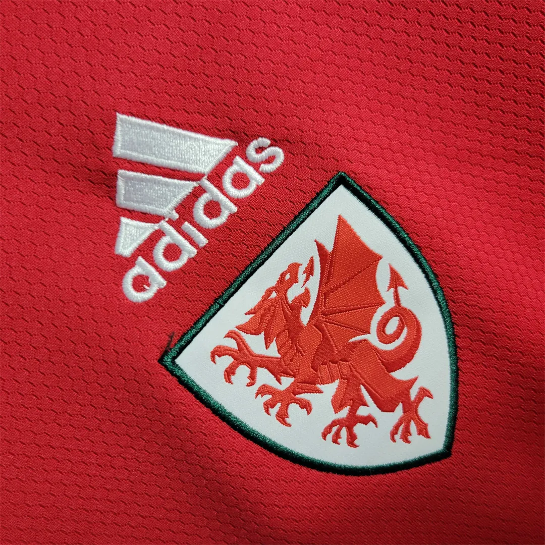 2022 Wales home 4
