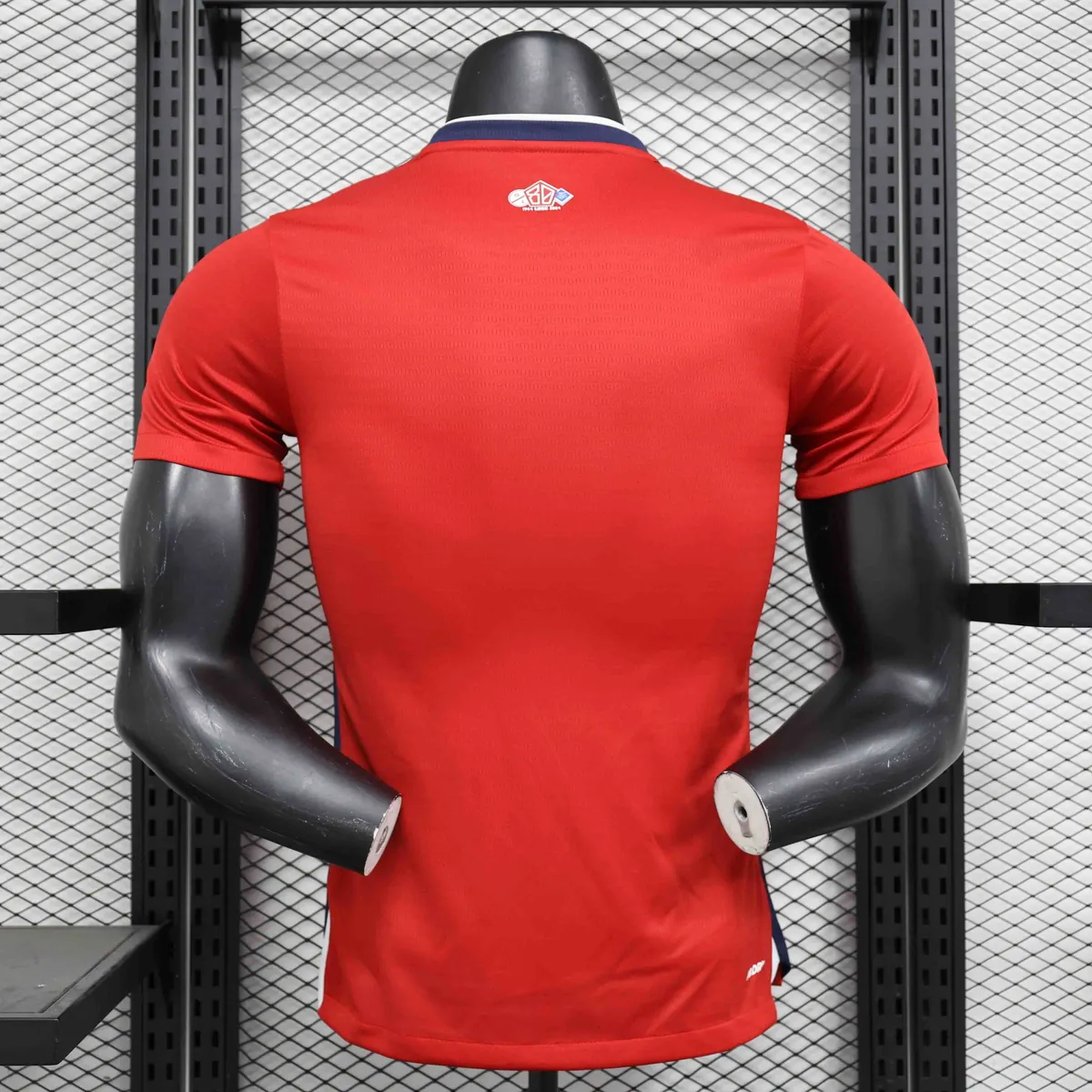 24-25 Lille Home Kit Player Version Shirt Sport AAAAJersey Yupoo 6