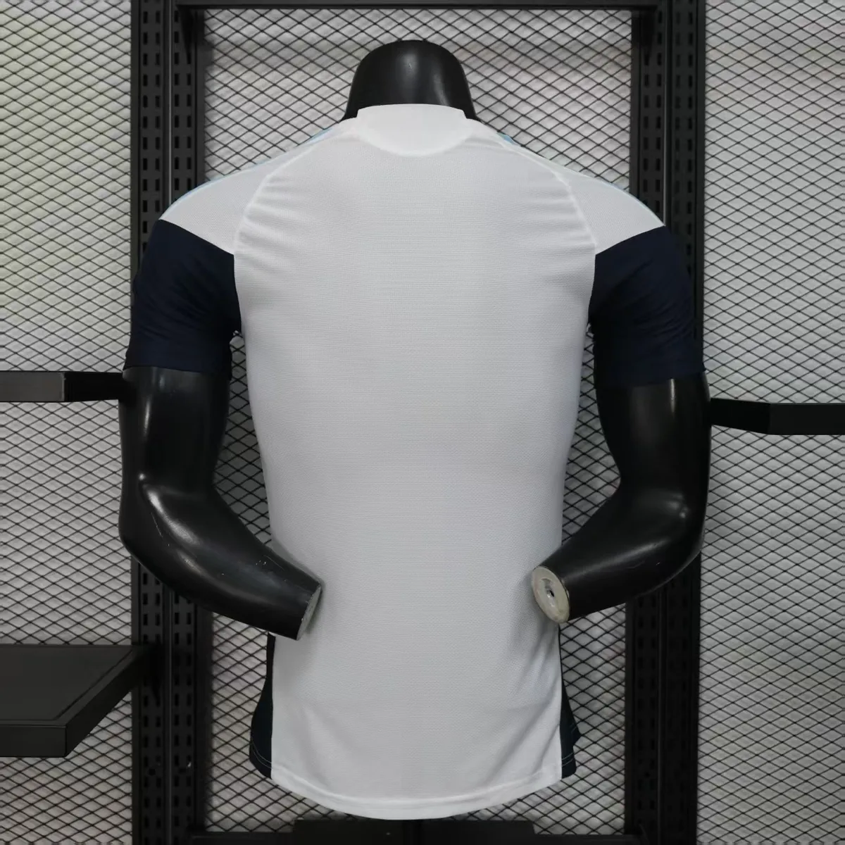 2026 Argentina Pre-Match Football Player Version T-Shirt AAAAJersey Supply Yupoo 1