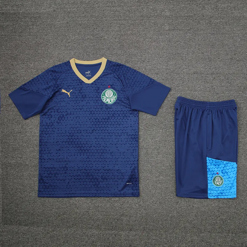 24-25 Palmeiras Training Soccer Jerseys Football Shirts 1