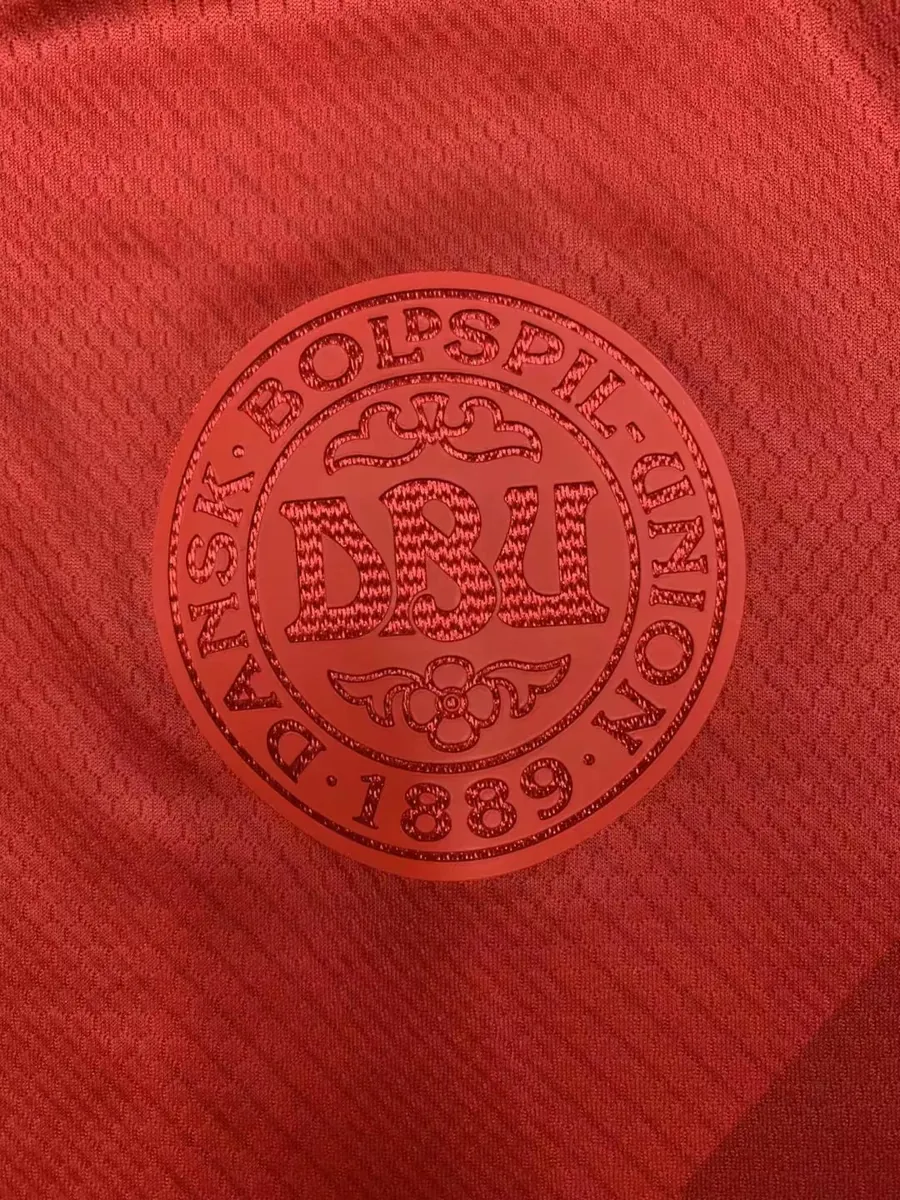 2022 Denmark home 2