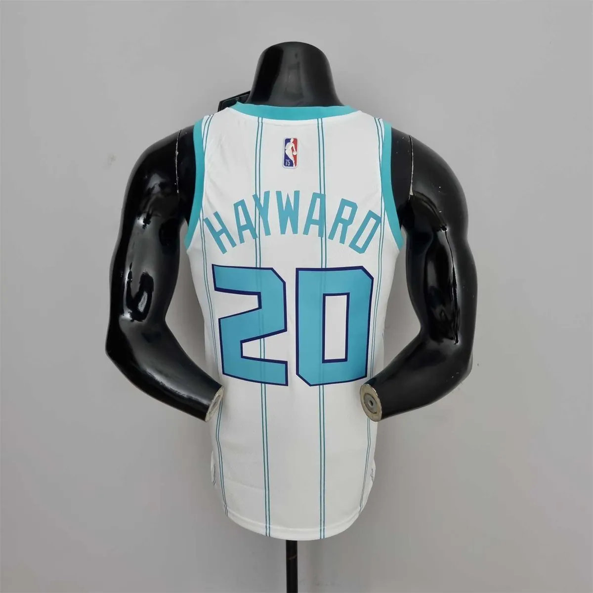 75th Anniversary Hayward #20 Charlotte Hornets White NBA Jersey 8