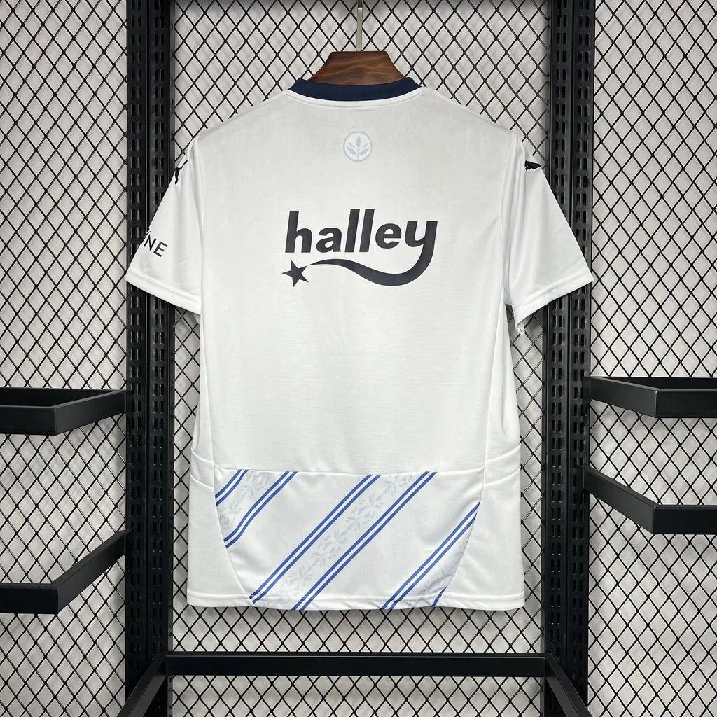 24-25 Fenerbahce Away Shirt Soccer Uniforms Soccer AAAAJersey Yupoo 6