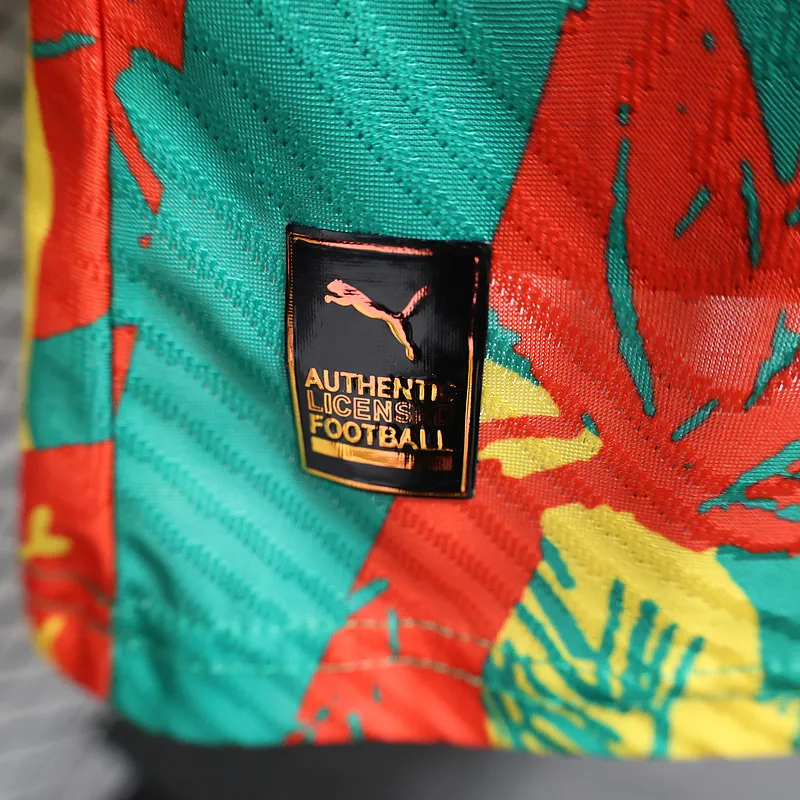 24-25 Ivory Coast Pre-match Kit Player Version Shirt Soccer AAAAJersey Yupoo 4