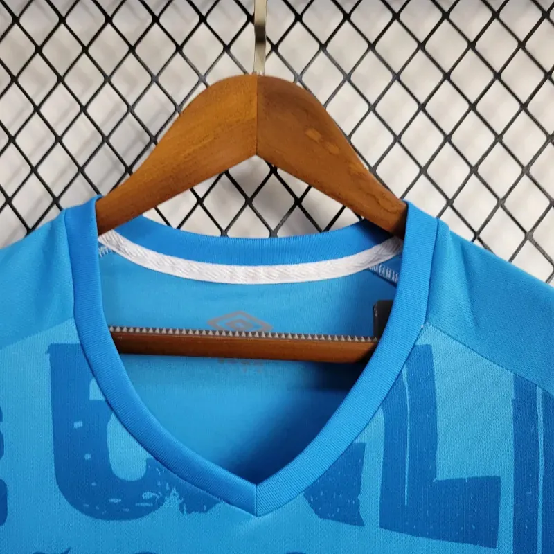 24-25 Gremio Training Kit Football Replicas Yupoo 1