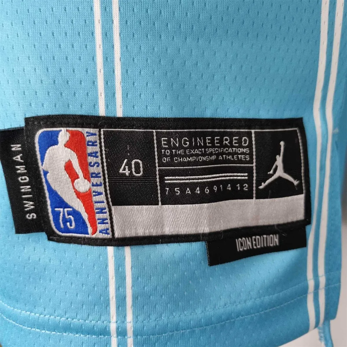 75th Anniversary Hayward #20 Charlotte Hornets Blue NBA Jersey 3