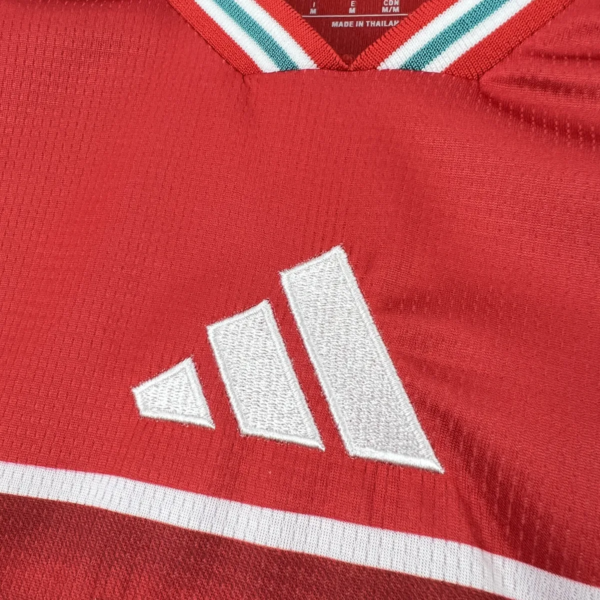 2026 Wales World Cup Home Kit Football T-Shirt AAAAJerseys Supply Yupoo 4