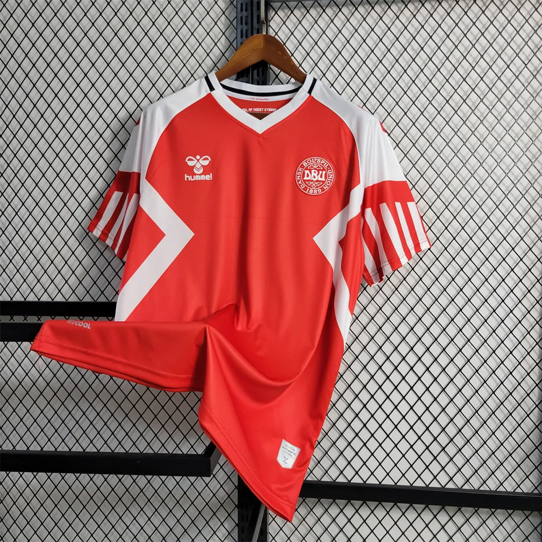 2023 Denmark home 3