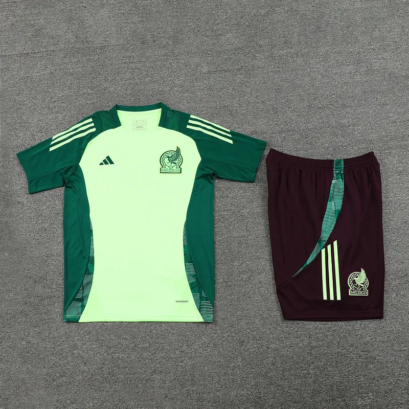 2024 Mexico Training Soccer Jerseys Football Shirts 2