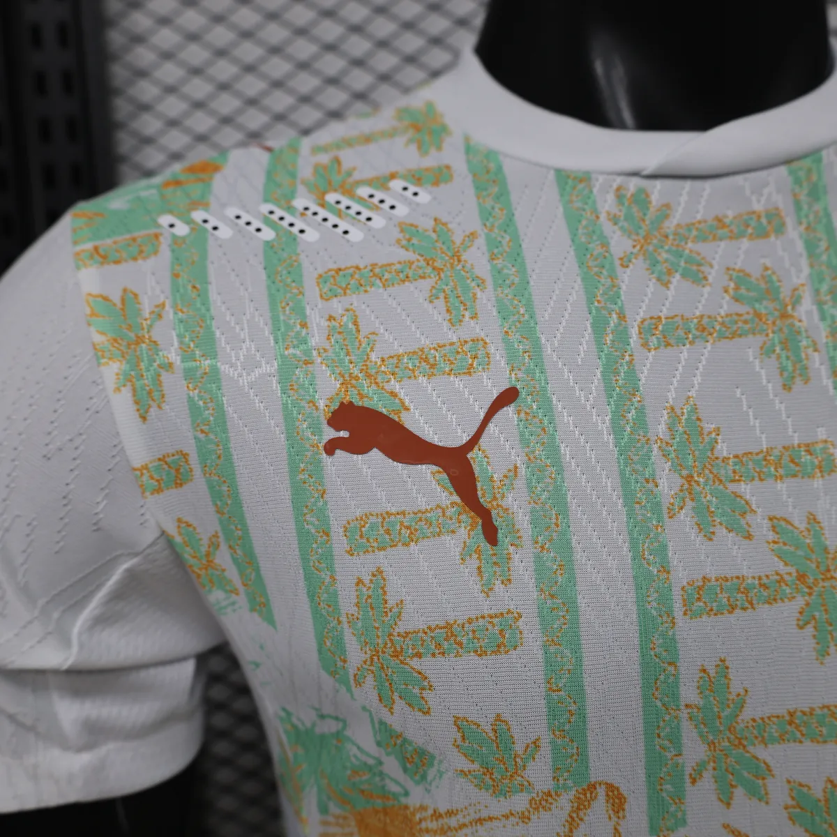 World Cup 2026 Cote d'Ivoire Away Kit Player Version Football T-Shirt AAAAJersey Supply Yupoo 10 10