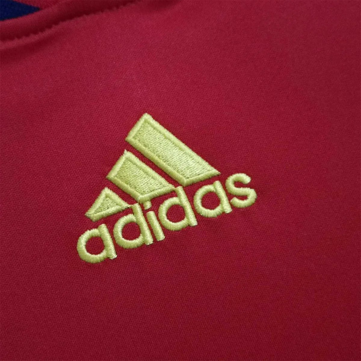 2010 Spain home 1