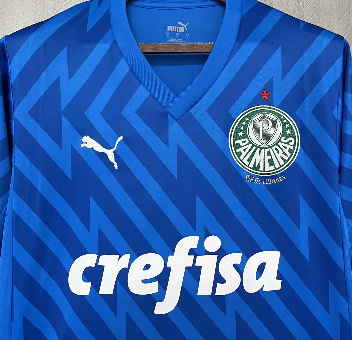 24-25 Palmeiras Goalkeeper Blue Kit Football Replicas Yupoo 6