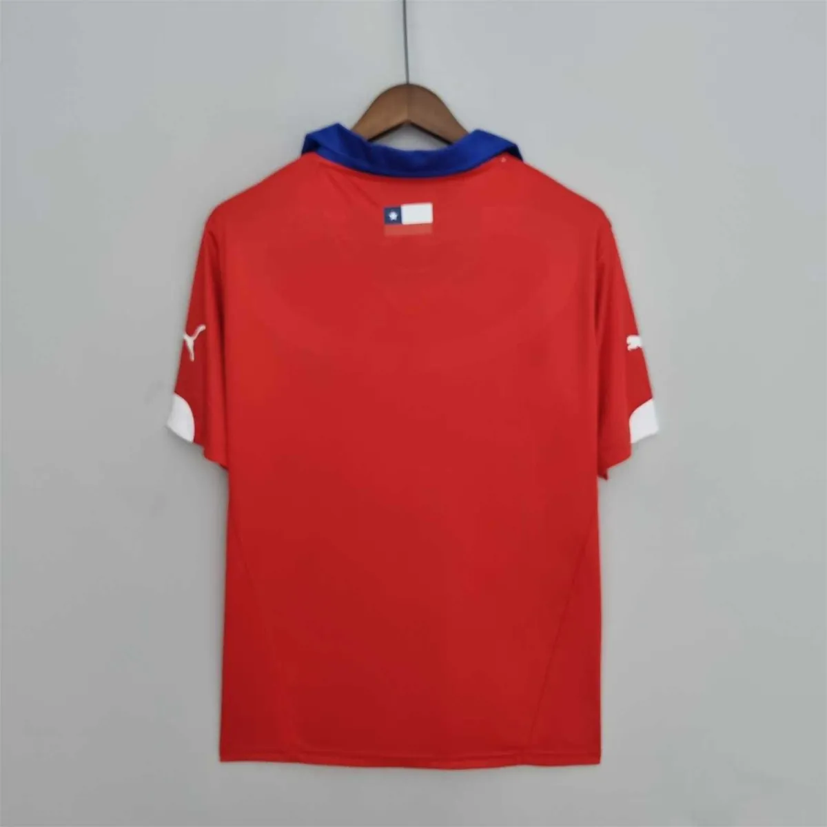 2014 Chile home 9