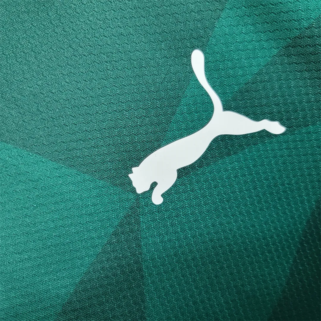 23-24 Palmeiras home S-4XL 3