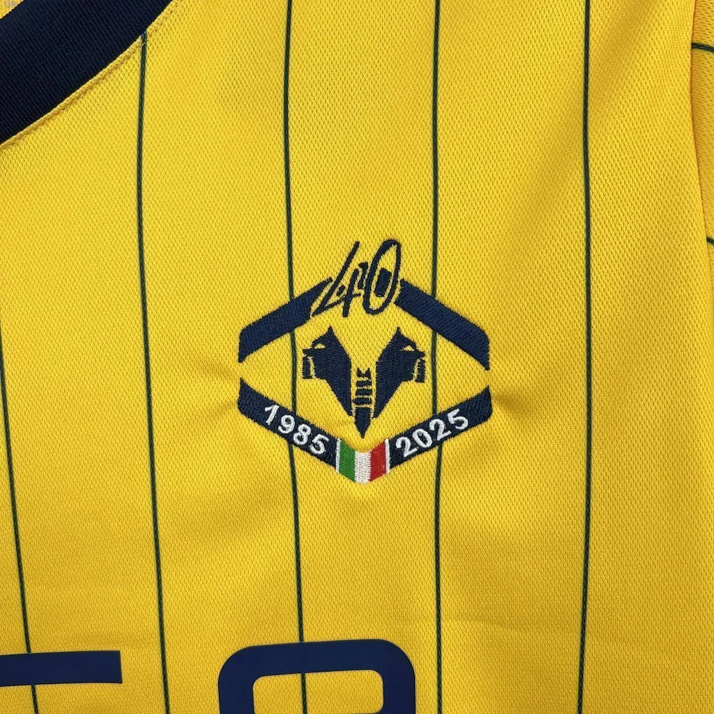 25-26 Hellas Verona 120th Anniversary Edition Football T-Shirt AAAAJersey Supply Yupoo 7
