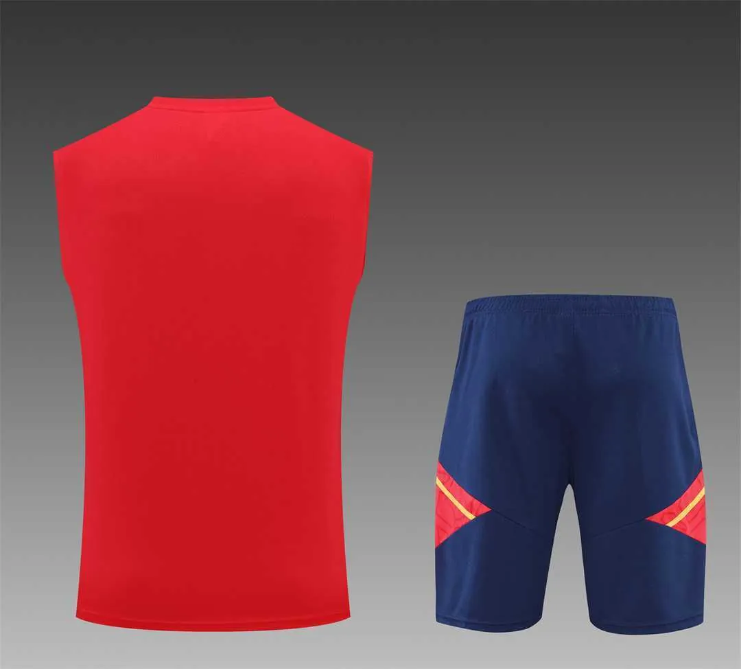22-23 Ajax vest training suit kit Red 13