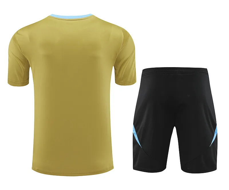 2024 Argentina Training Soccer Jerseys Football Shirts 3