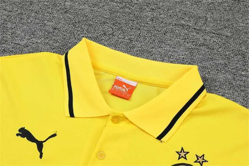 Polo Dortmund yellow 13