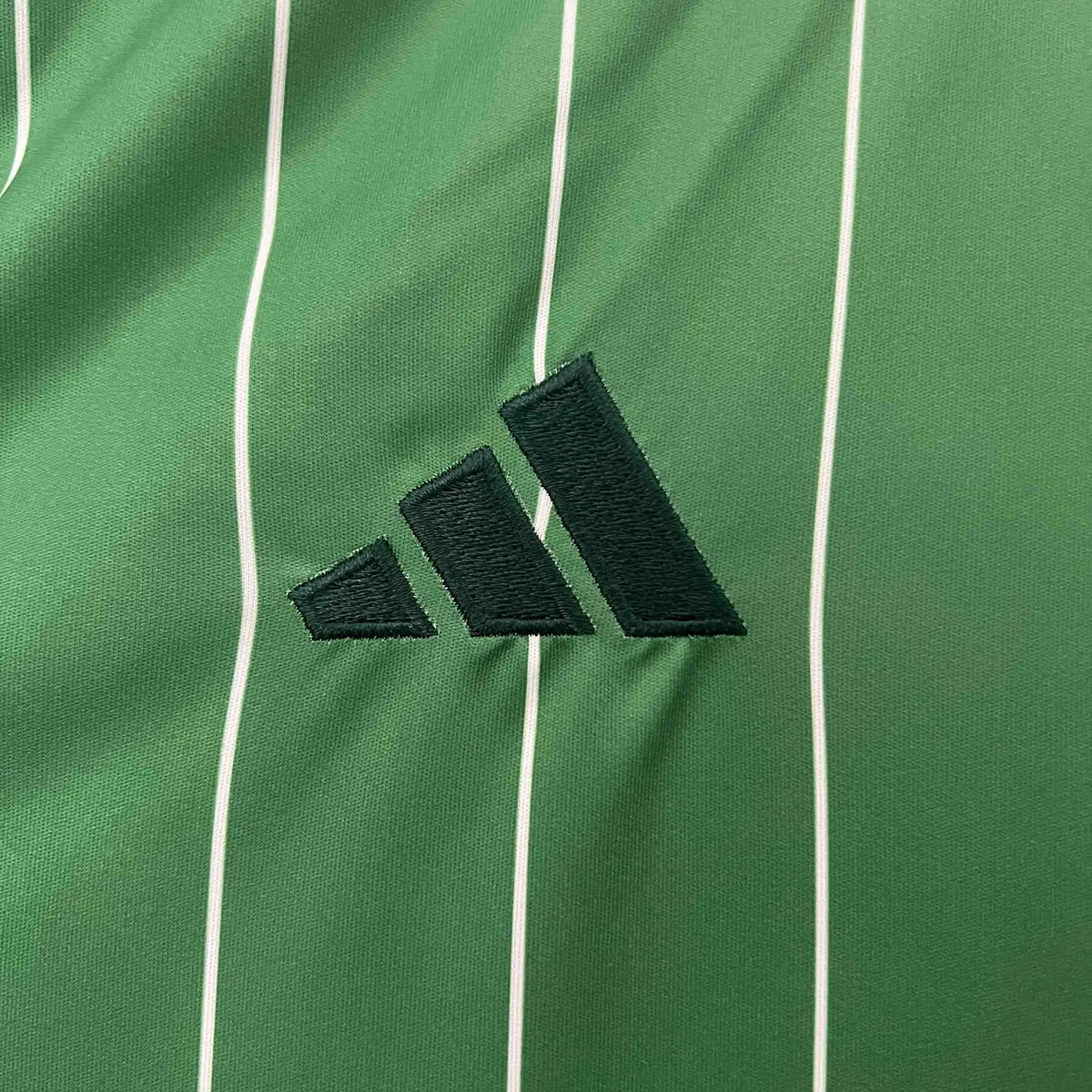 24-25 Celtic Special Edition Kit Jerseys Supllier Yupoo 5