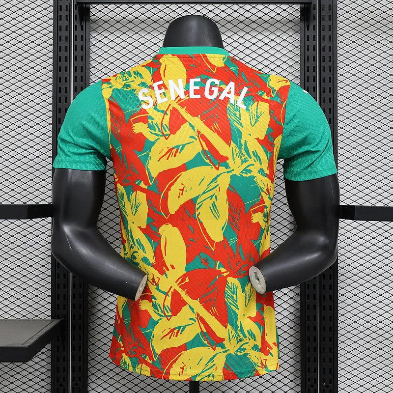 24-25 Ivory Coast Pre-match Kit Player Version Shirt Soccer AAAAJersey Yupoo 3