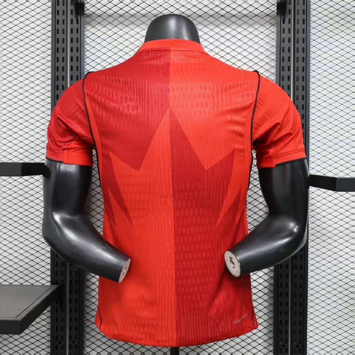 2026 Canada World Cup Home Kit Player Version Football T-Shirt AAAAJersey Supply Yupoo 3