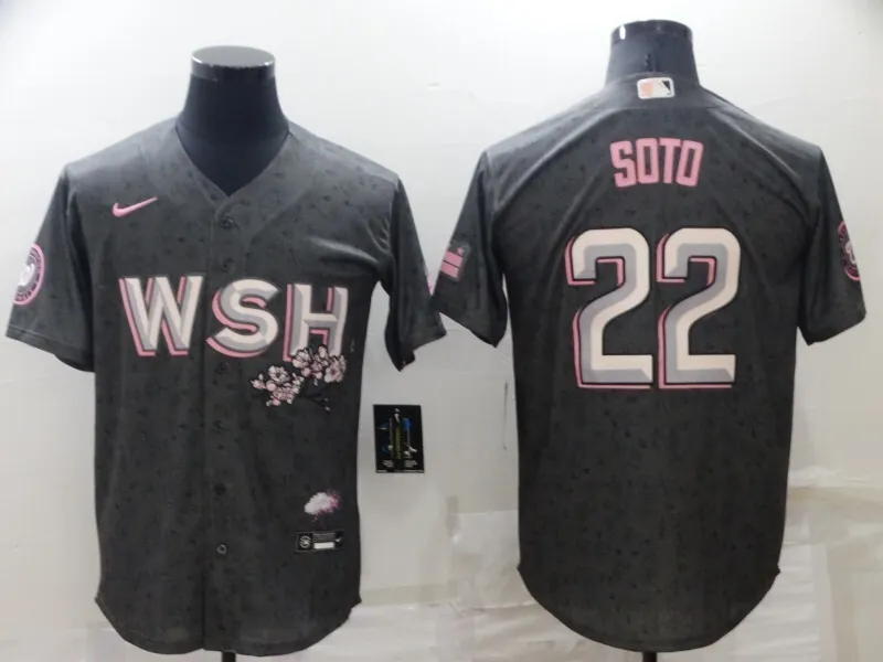 Washington Nationals 24