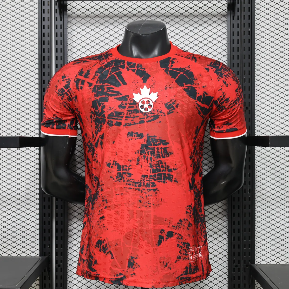 2026 Canada Mens Kits Player Special Edition Soccer T-Shirt AAAAJersey Supply Yupoo 5