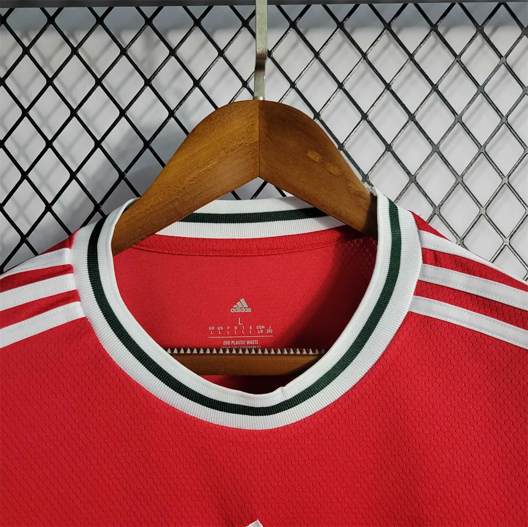 2022 Wales home 3