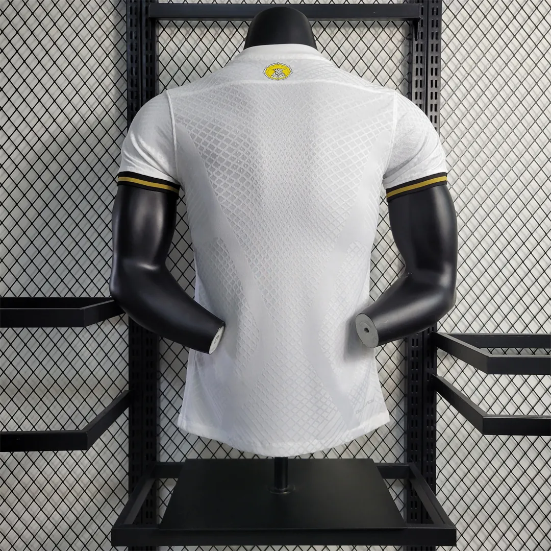 AIK Sonina 132nd Anniversary Edition player version 3