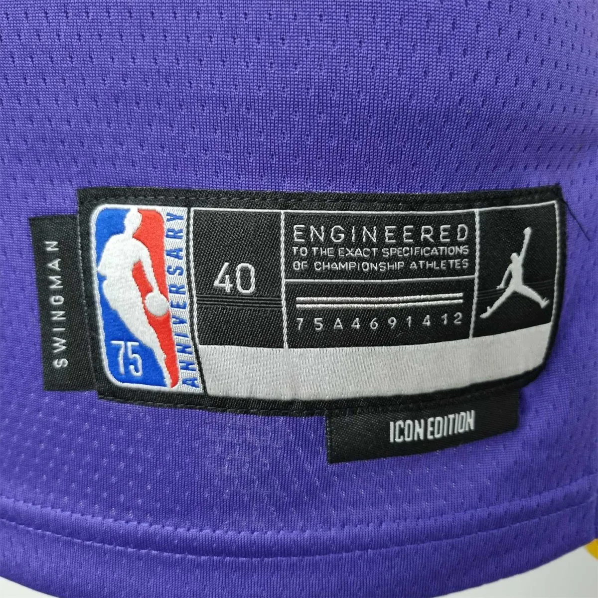 75th Anniversary James #6 Los Angeles Lakers Jordan Purple NBA Jersey 4